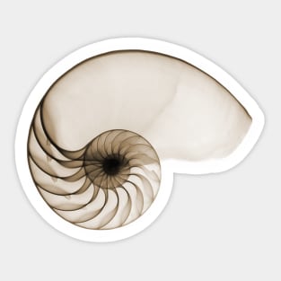 Sepia Seashell Sticker